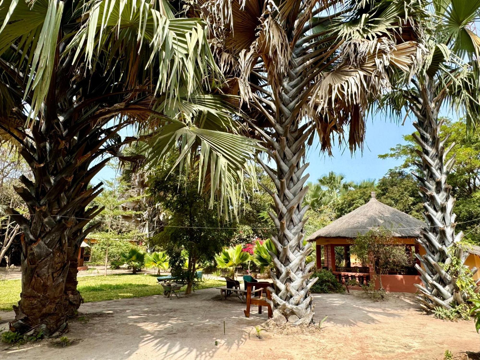 Little'S Nature Retreat Kartong Exterior photo